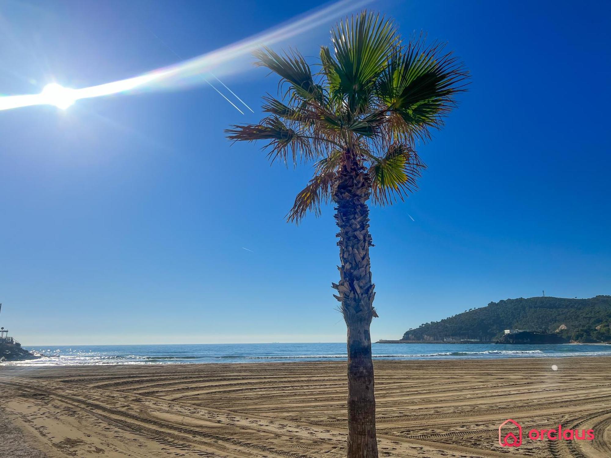 Cala Concha Apartment Оропеса дел Мар Екстериор снимка